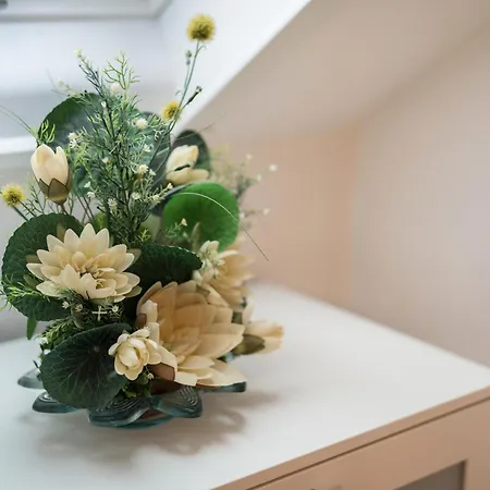 Viola In Апартаменты *