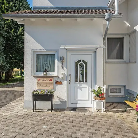 Viola In Apartament *