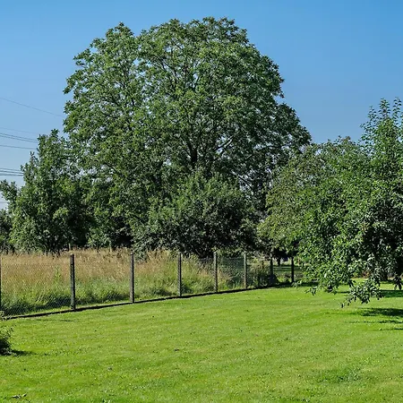 Apartament Viola In