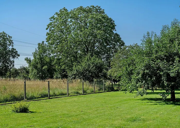 Апартаменты Viola In